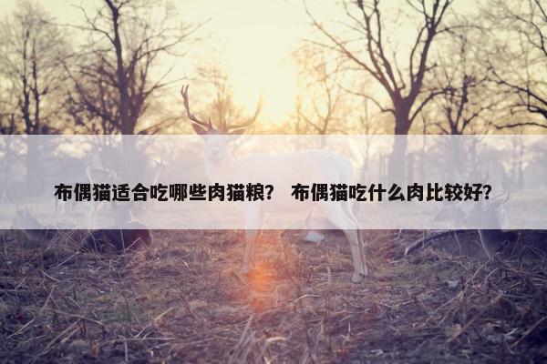 布偶猫适合吃哪些肉猫粮？ 布偶猫吃什么肉比较好？