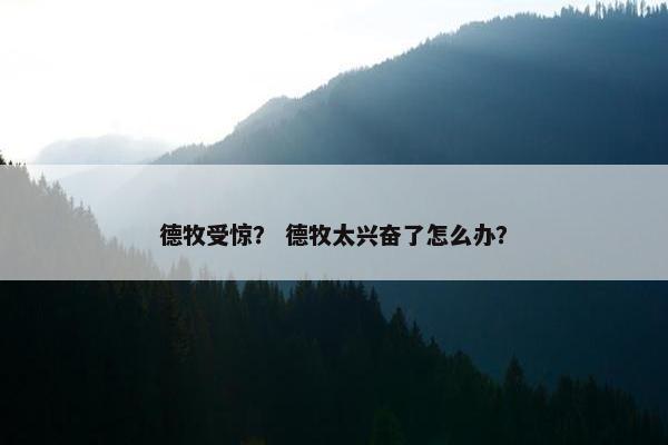 德牧受惊？ 德牧太兴奋了怎么办？