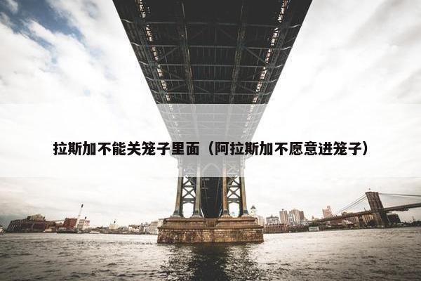 拉斯加不能关笼子里面（阿拉斯加不愿意进笼子）