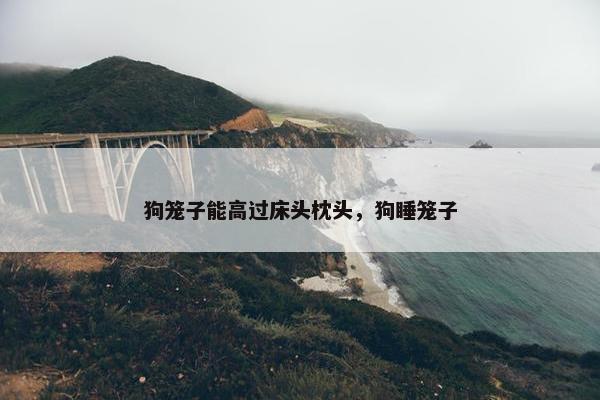 狗笼子能高过床头枕头，狗睡笼子