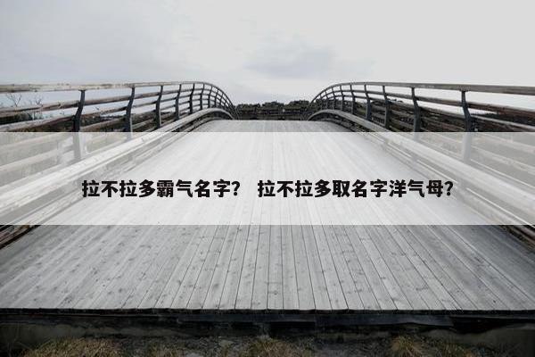 拉不拉多霸气名字？ 拉不拉多取名字洋气母？