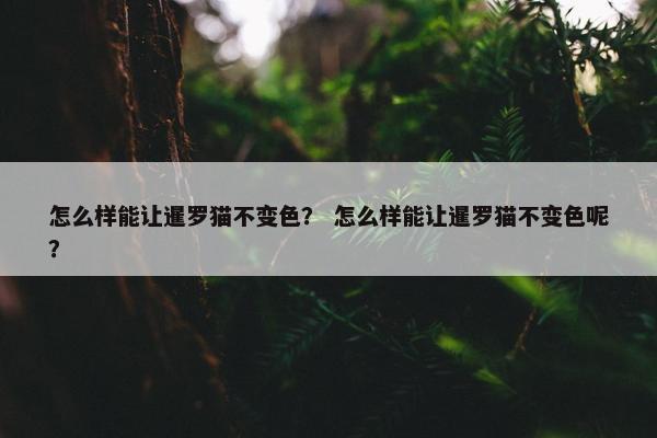 怎么样能让暹罗猫不变色？ 怎么样能让暹罗猫不变色呢？
