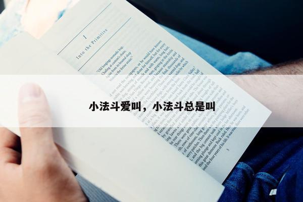小法斗爱叫，小法斗总是叫