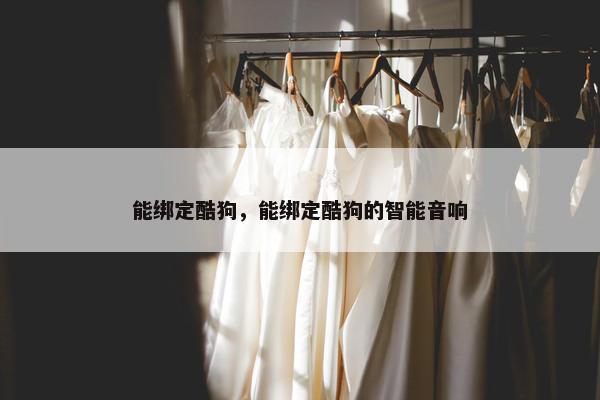 能绑定酷狗，能绑定酷狗的智能音响