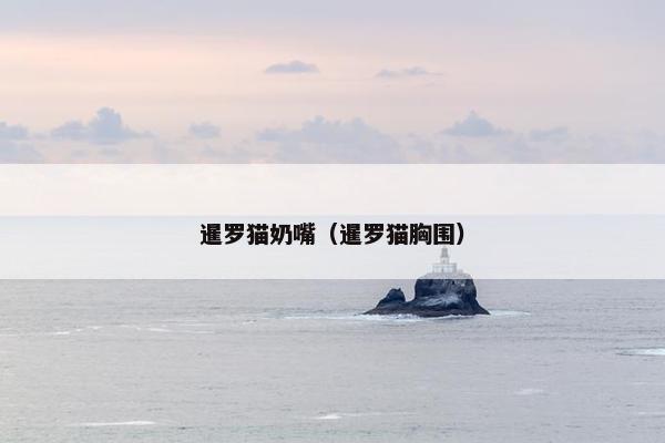 暹罗猫奶嘴（暹罗猫胸围）