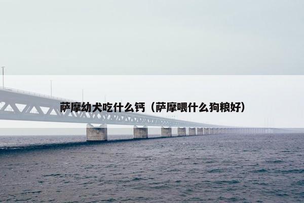 萨摩幼犬吃什么钙（萨摩喂什么狗粮好）