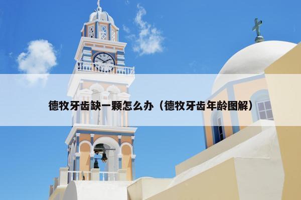德牧牙齿缺一颗怎么办（德牧牙齿年龄图解）