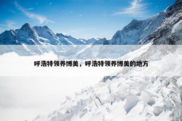 呼浩特领养博美，呼浩特领养博美的地方