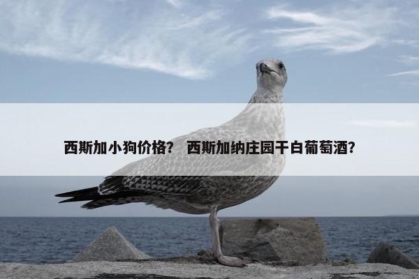 西斯加小狗价格？ 西斯加纳庄园干白葡萄酒？