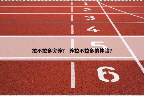 拉不拉多穷养？ 养拉不拉多的体验？