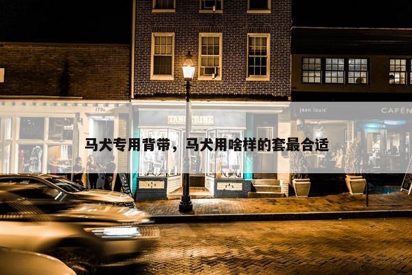 马犬专用背带，马犬用啥样的套最合适