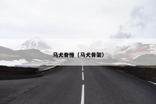 马犬脊椎（马犬骨架）