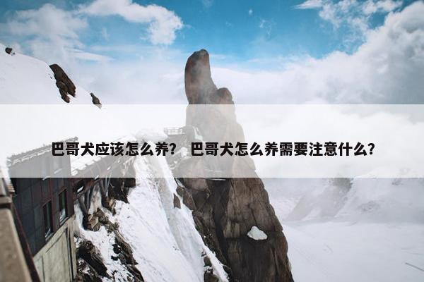 巴哥犬应该怎么养？ 巴哥犬怎么养需要注意什么？