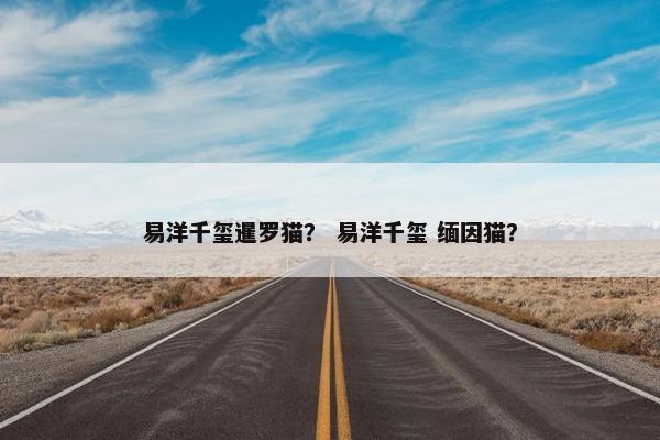 易洋千玺暹罗猫？ 易洋千玺 缅因猫？