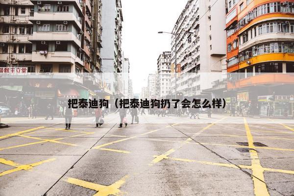 把泰迪狗（把泰迪狗扔了会怎么样）