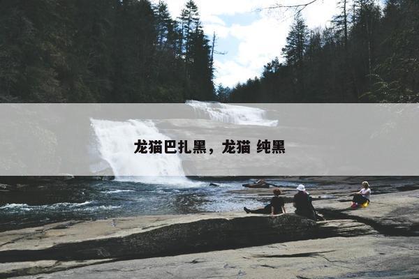 龙猫巴扎黑，龙猫 纯黑