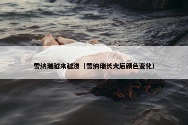 雪纳瑞越来越浅（雪纳瑞长大后颜色变化）