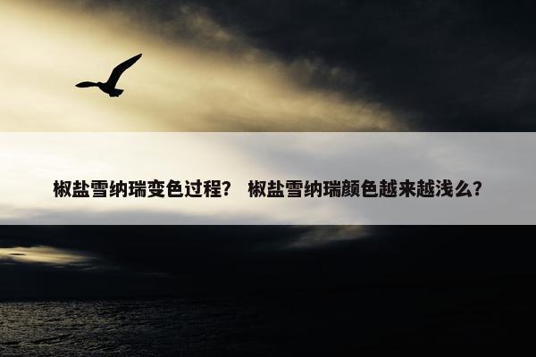 椒盐雪纳瑞变色过程？ 椒盐雪纳瑞颜色越来越浅么？