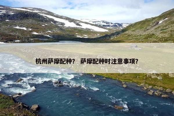 杭州萨摩配种？ 萨摩配种时注意事项？