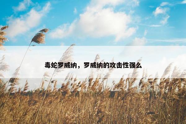 毒蛇罗威纳，罗威纳的攻击性强么