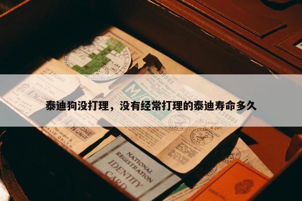 泰迪狗没打理，没有经常打理的泰迪寿命多久