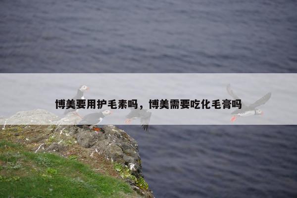 博美要用护毛素吗，博美需要吃化毛膏吗