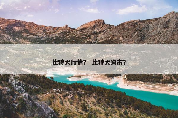 比特犬行情？ 比特犬狗市？