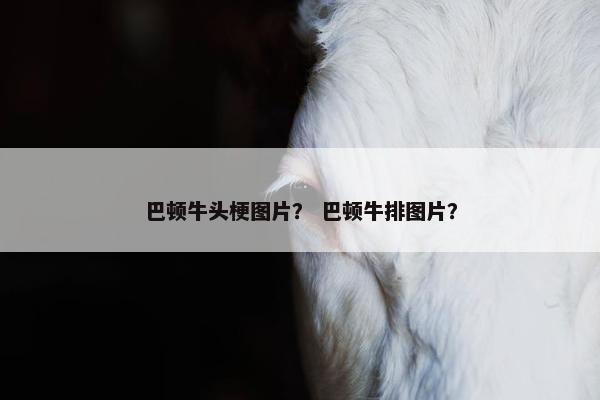 巴顿牛头梗图片？ 巴顿牛排图片？