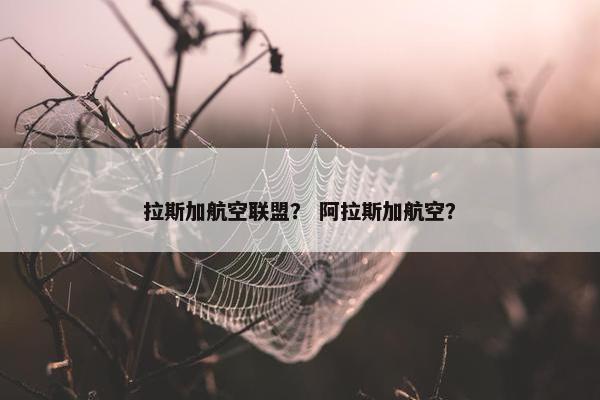 拉斯加航空联盟？ 阿拉斯加航空？