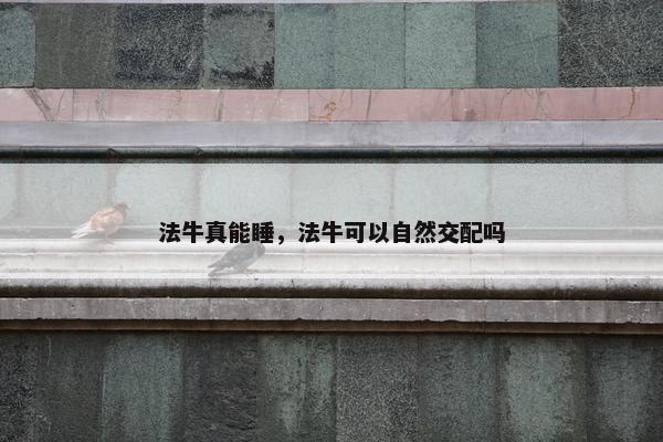 法牛真能睡，法牛可以自然交配吗