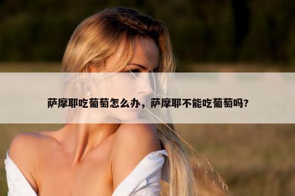 萨摩耶吃葡萄怎么办，萨摩耶不能吃葡萄吗?