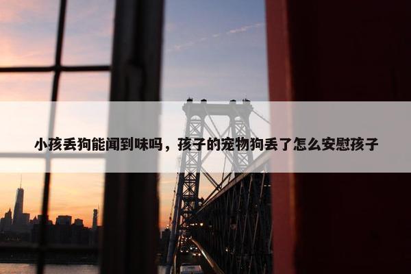 小孩丢狗能闻到味吗，孩子的宠物狗丢了怎么安慰孩子