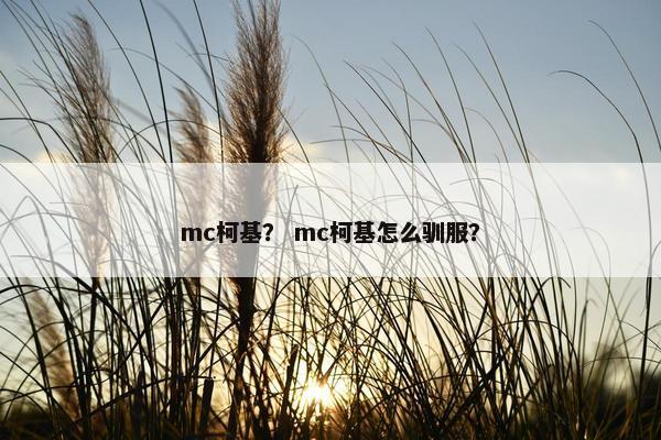 mc柯基？ mc柯基怎么驯服？