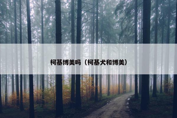 柯基博美吗（柯基犬和博美）