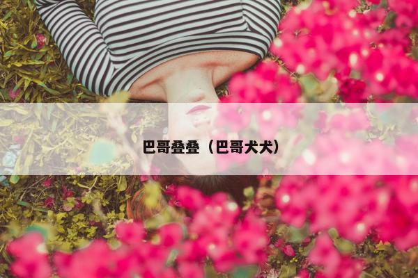巴哥叠叠（巴哥犬犬）