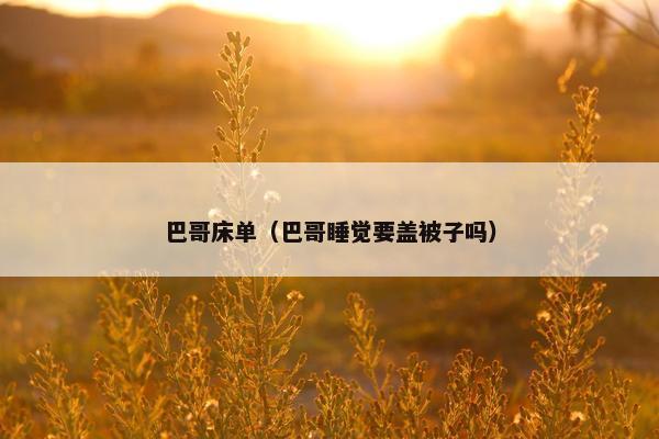 巴哥床单（巴哥睡觉要盖被子吗）