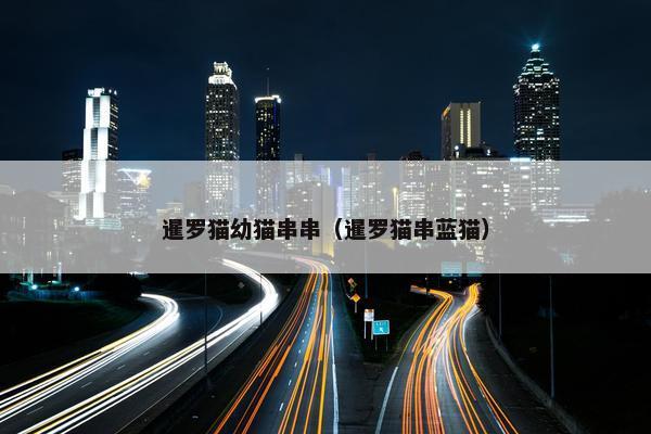 暹罗猫幼猫串串（暹罗猫串蓝猫）