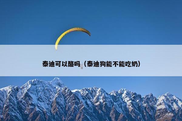泰迪可以酪吗（泰迪狗能不能吃奶）