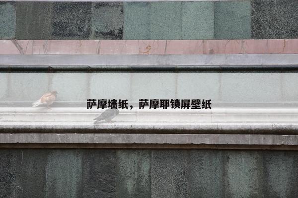 萨摩墙纸，萨摩耶锁屏壁纸