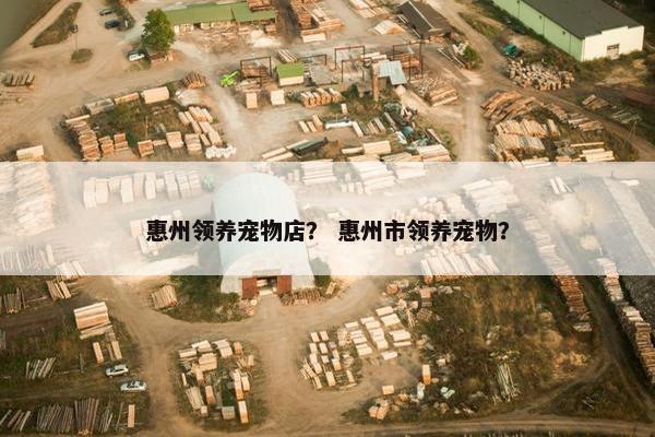 惠州领养宠物店？ 惠州市领养宠物？