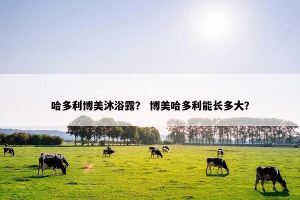 哈多利博美沐浴露？ 博美哈多利能长多大？