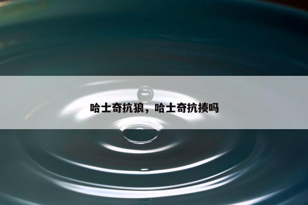 哈士奇抗狼，哈士奇抗揍吗