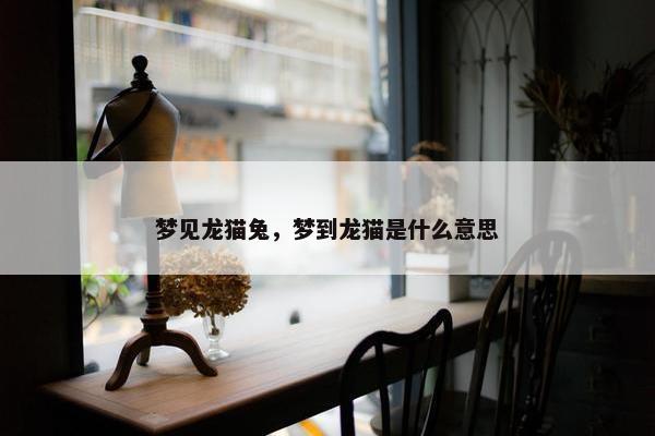 梦见龙猫兔，梦到龙猫是什么意思