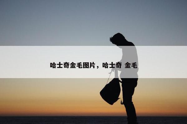 哈士奇金毛图片，哈士奇 金毛