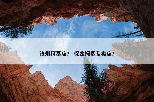 沧州柯基店？ 保定柯基专卖店？