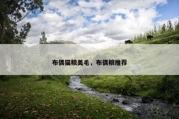 布偶猫粮美毛，布偶粮推荐