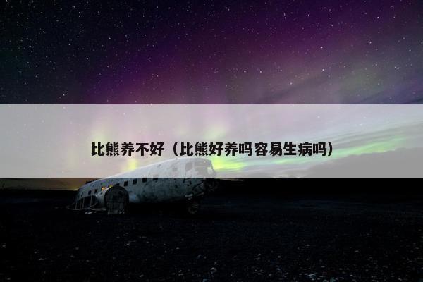 比熊养不好（比熊好养吗容易生病吗）
