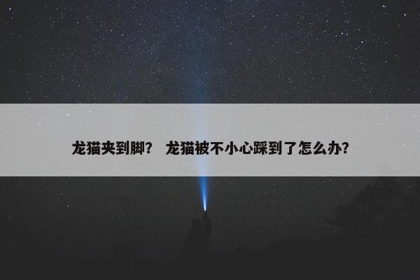 龙猫夹到脚？ 龙猫被不小心踩到了怎么办？