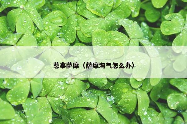 惹事萨摩（萨摩淘气怎么办）