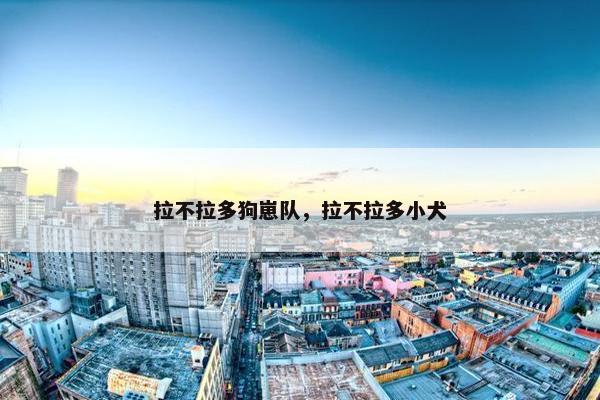 拉不拉多狗崽队，拉不拉多小犬